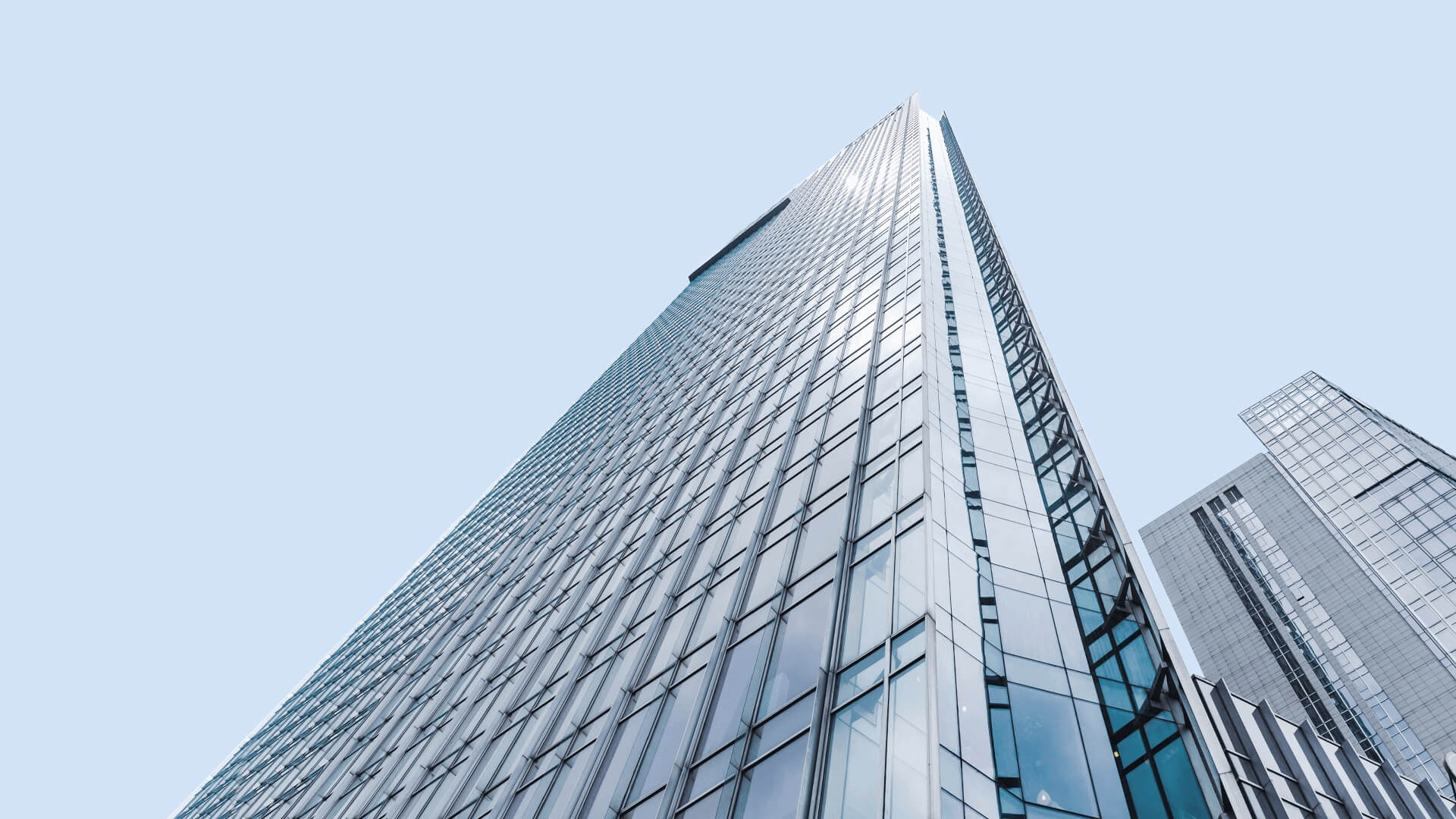 新媒体运营服务